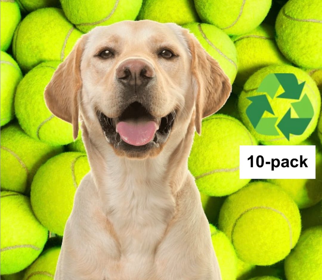 10 Recycled Tennis Balls for Your Fetchloving Pup Etsy