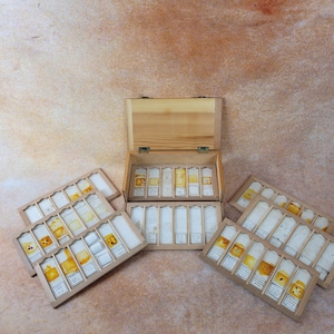 Antique microscope slides, botanical flora and fauna circa 1940