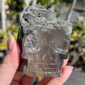 Smoky Himalayan Quartz with Chlorite Skull