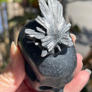 Chrysanthemum Stone Skull