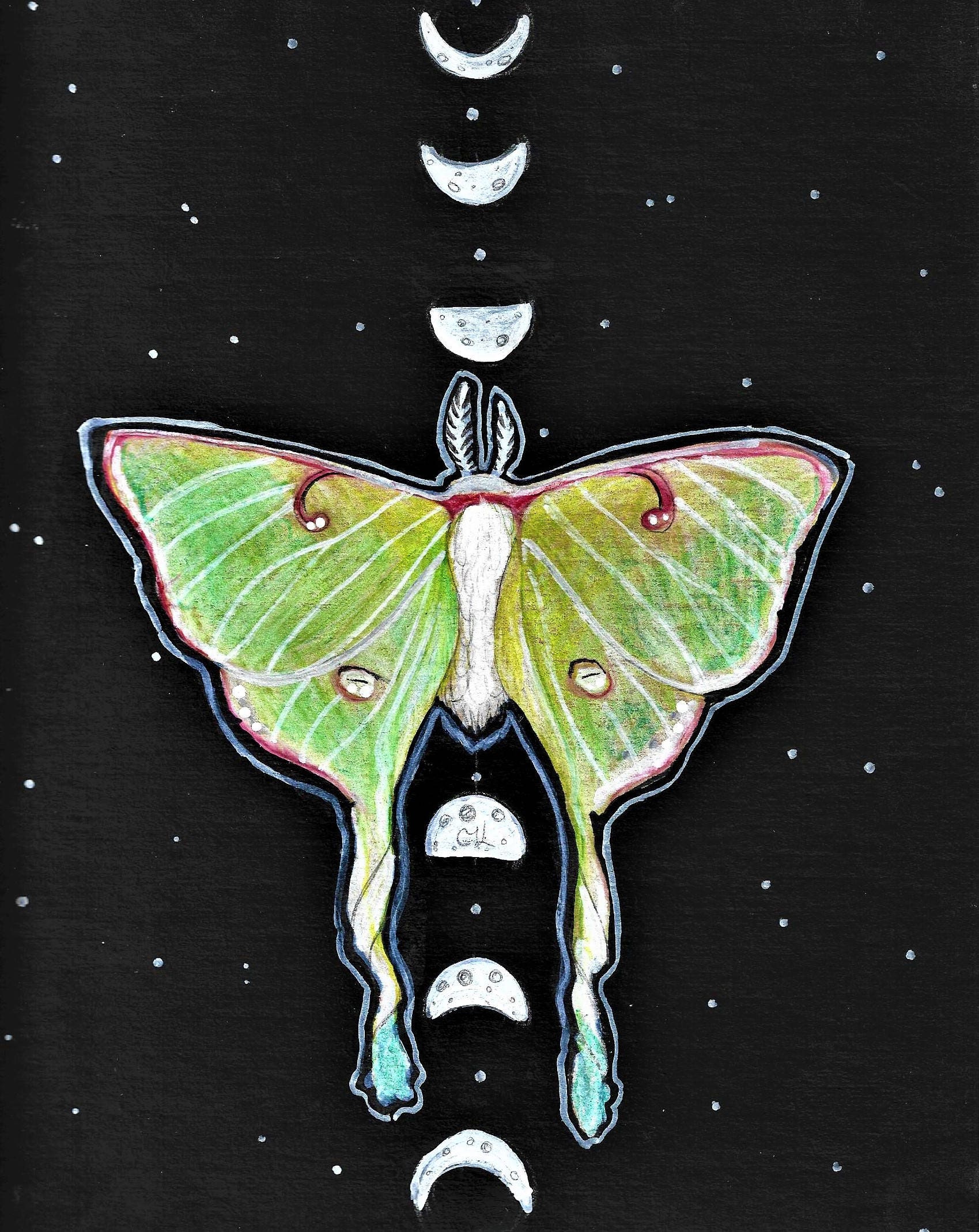 Moth Moon Phase Art Moth Wall Decor Lunar Moth Print Etsy Singapore
