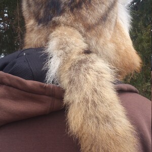 Custom Coyote Fur Trapper Cap image 6