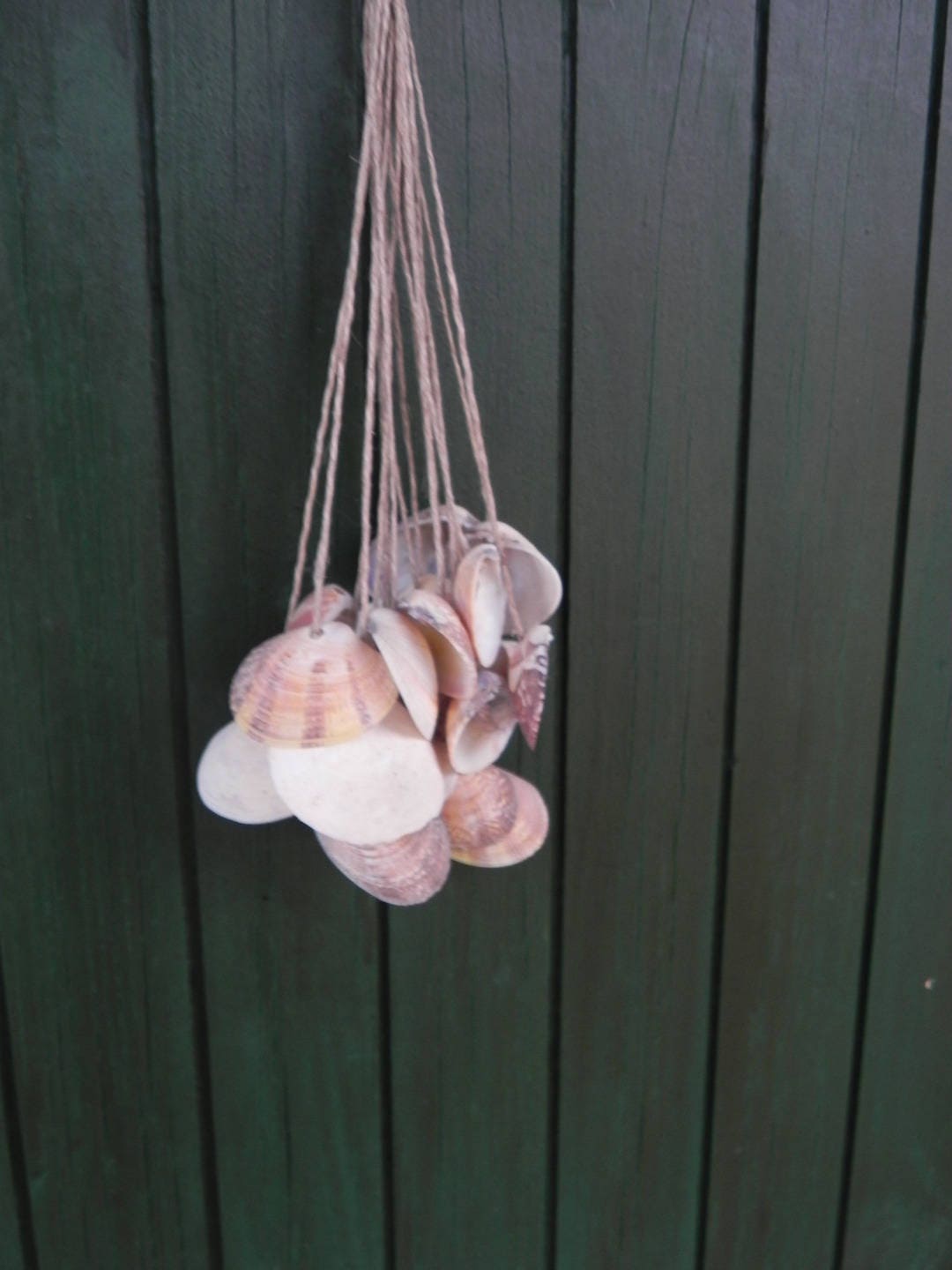 Grappe de Coquillages Blancs Pour Déco Marine