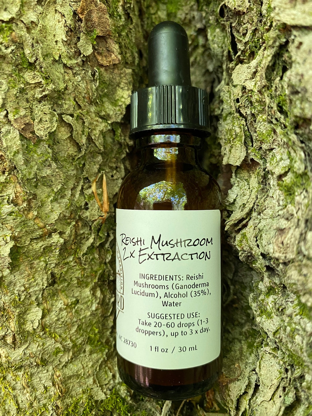 Reishi Mushroom Double Extract Tincture, Immunity, Wellness, Tonic