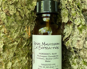 Reishi Mushroom Double Extract Tincture, Immunity, Wellness, Tonic, Herbal Extract