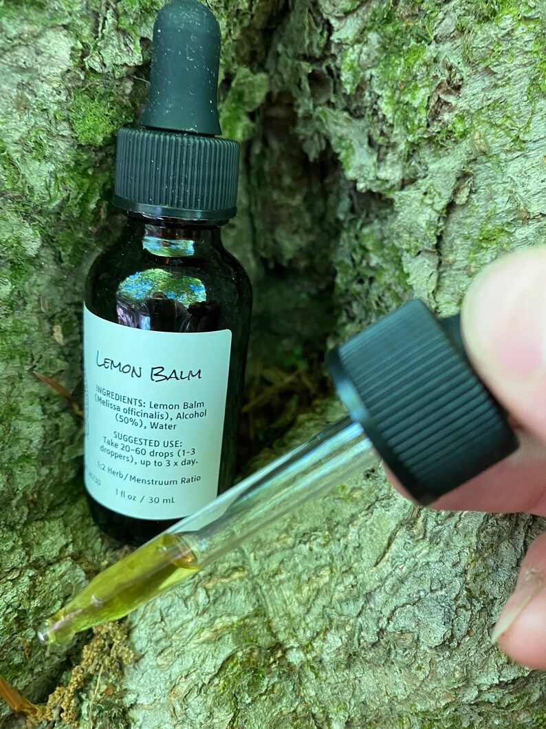 May include: A small amber glass bottle with a black dropper cap. The bottle is labelled "Lemon Balm" and lists the ingredients as Lemon Balm (Melissa officinalis), Alcohol (50%), and Water. The suggested use is to take 20-60 drops (1-3 droppers) up to 3 times a day. The bottle contains 1 fl oz / 30 ml.