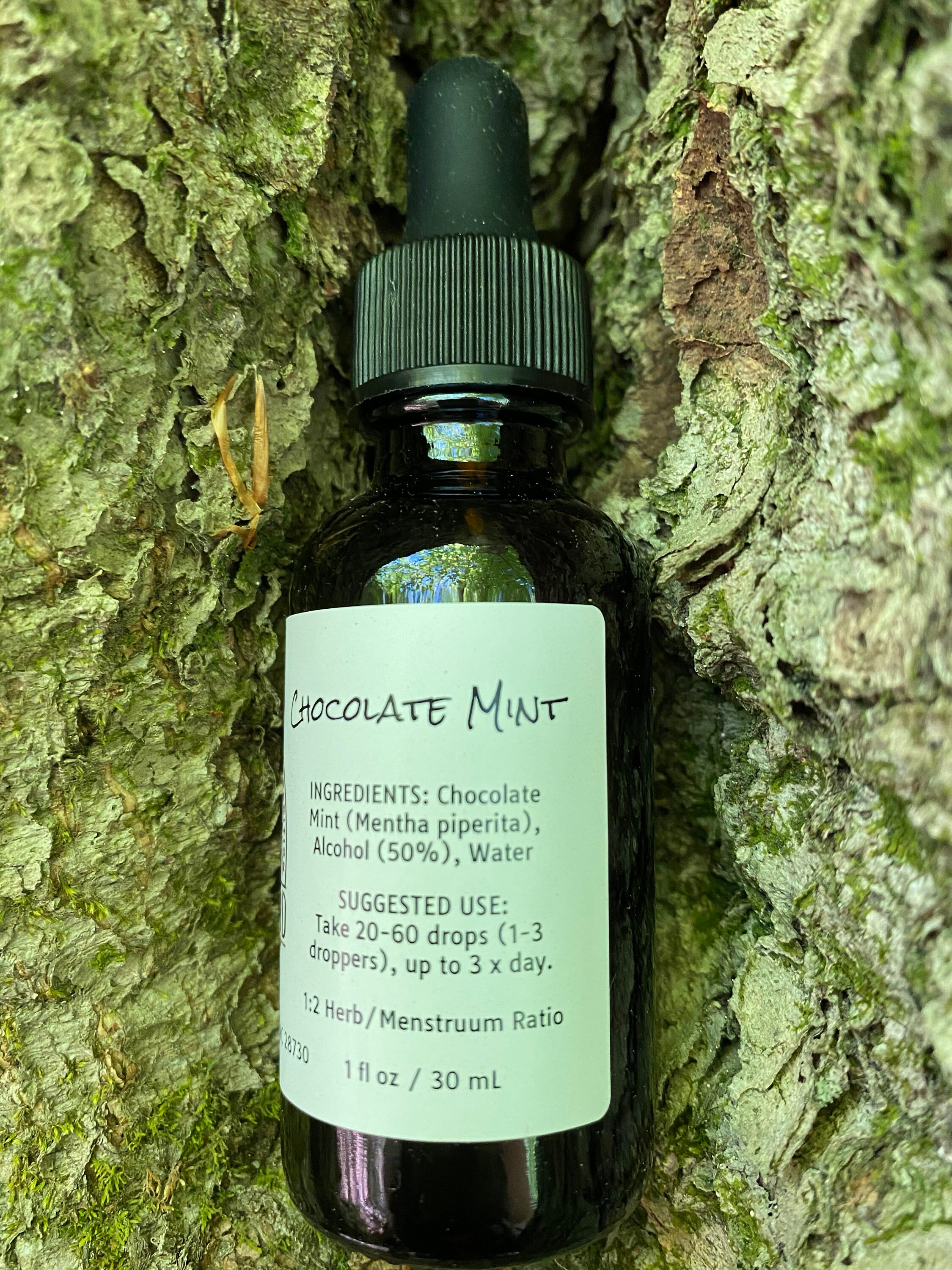 Chocolate Mint Tincture Herbal Extract Infusion Natural Etsy