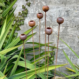 Rusty Flowers Set of 6, Flowers Garden Decor, Metal Rain Catchers, Metal Yard Art, Outdoor Metal Decor, Rustic Metal Garden Sculpture