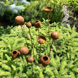 Rusty Flowers Set Of 10, Flowers Garden Decor, Metal Rain Catchers, Metal Yard Art, Outdoor Metal Decor, Rustic Metal Garden Decoration