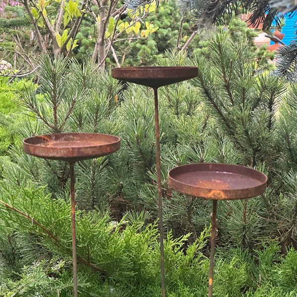 Rusty flower garden stakes, Metal rain catchers, Bird bath outdoor garden decor