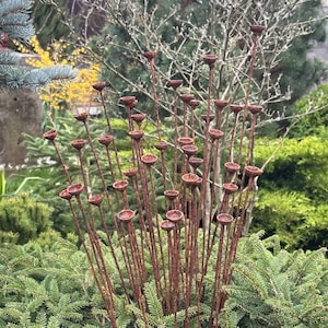 Rusty tiny flowers set of 40, 40 Rusty flowers garden stakes, Metal garden decor, metal yard art, outdoor metal decor, Rusty garden decor