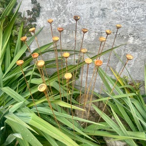 20 Tiny Rusty flowers garden stakes, Yard Art, Outdoor Decor, Metal Sculpture