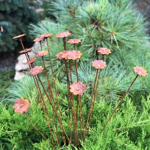 Rusty Flowers Set of 20, Rustic Garden Decor, Metal Flower Stakes, Outdoor Yard Art, Weathered Metal Garden Sculpture, Unique Lawn Ornament
