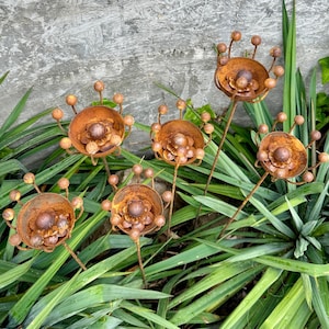 Rustic Metal Exotic Flowers Set of 6 Garden Sculptures Bee Butterfly Rain Catchers Handmade Outdoor Decor Yard Art Landscaping Gift
