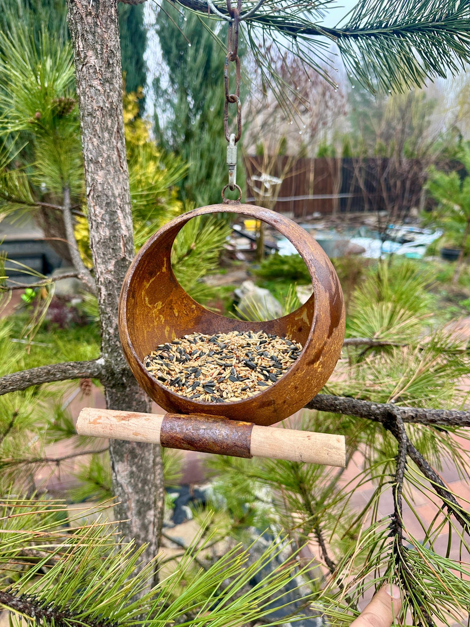 Rusty Bird Feeder, Modern Rusty Metal Bird Feeders, Bird Snack Bowl ...