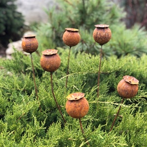 Rusty flowers set of 6, Poppy seeds head garden decor, Metal garden decor, metal yard art, outdoor metal decor, Rusty metal garden decor