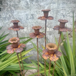 Rusty Metal Narcissus Set of 6, Rustic Bell-Shaped Flower Décor, Metal flower garden stake, Gardening Gift