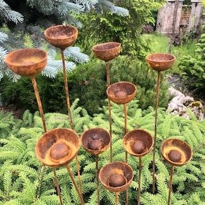 Rusty flowers set of 10, Flowers garden decor, Metal garden decor, metal yard art, outdoor metal decor, Rusty metal rain catchers