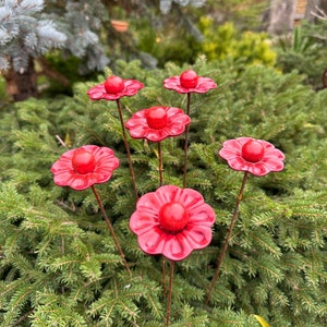 Amazon.com: Lincia 6 Pcs Tissue Paper Flowers Colorful