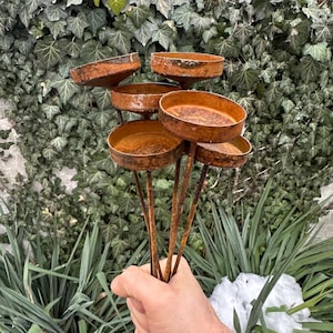 Rusty Flower Garden Stakes – Metal Mini Rain Catchers, Unique Outdoor Yard Decor, Rustic Garden Sculptures, Weathered Garden Art Accent