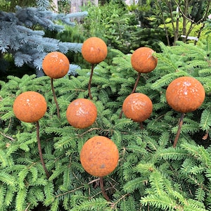 Rusty flowers set of 8, Metal garden decor, 8 Rusty flowers garden stakes,  metal yard art, outdoor metal decor, Rusty metal garden decor