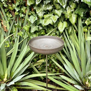 May include: A metal bird bath with a shallow, circular basin and a slender, vertical support. The bird bath has a weathered, bronze-like finish and is set against a backdrop of lush green foliage, including long, spiky leaves and ivy.