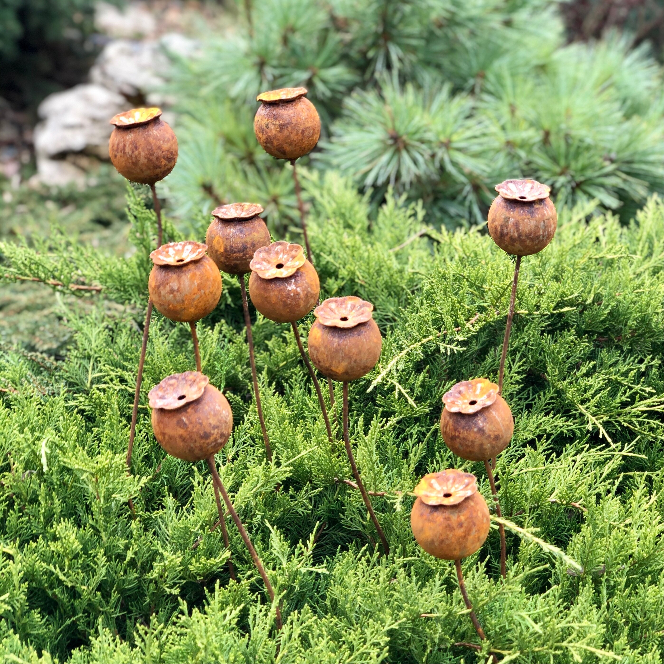 Rusty flowers set of 10 Poppy seeds head garden decor Metal Etsy