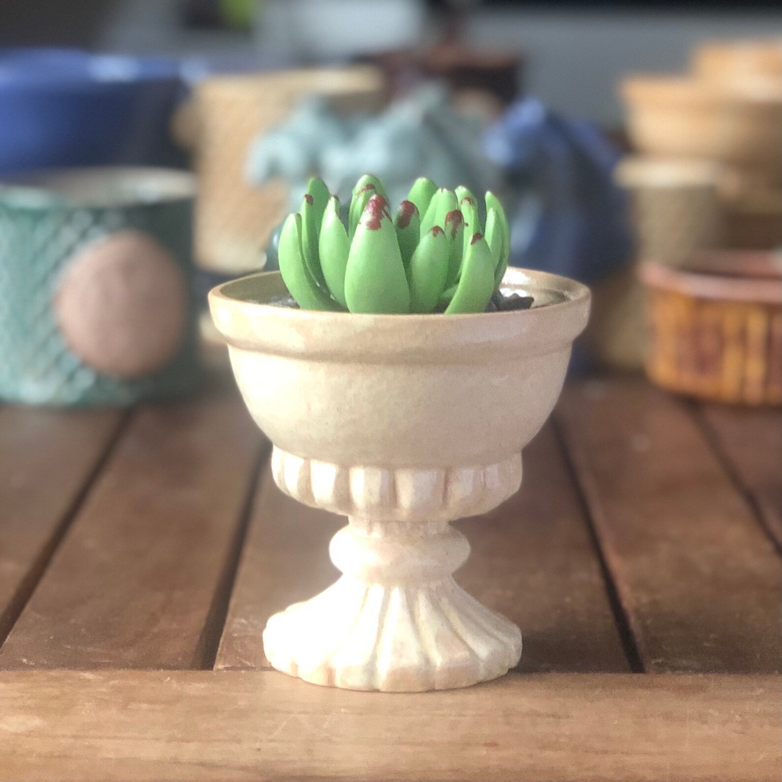 Succulent pots Succulent planters Classic style clay Etsy