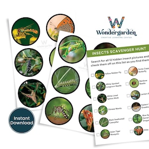 May include: A printable insect scavenger hunt game with 12 colorful insect illustrations and a checklist of insect names. The checklist includes names like Yellow Robber Fly, Sooty Copper Butterfly, White Spotted Longicorn Beetle, White Lined Sphinx Moth, Chinese Mantis, Black Swallowtail Caterpillar, Asian Tiger Mosquito, Rainbow Beetle, Lantern Bug, Eastern Grasshopper, Blue Eyed Damselfly, and Atlas Moth.