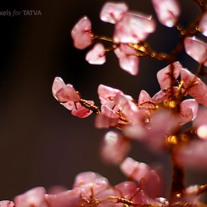 Op de afbeelding: Een roze kristallen boom met delicate takken en bladeren. De kristallen zijn zo gerangschikt dat ze op een boom lijken, met takken die vanuit het midden naar buiten groeien. De kristallen zijn lichtroze van kleur en hebben een doorschijnende uitstraling.