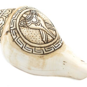 Carved Ashtamangala Conch Shell (Conch Design) - Handmade in Nepal - Buddhist Ceremonial Decor for Meditation