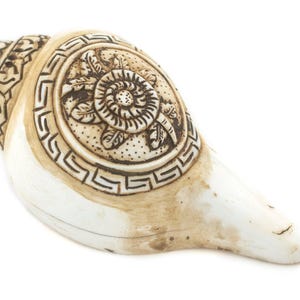Carved Ashtamangala Conch Shell (Lotus) - Handmade in Nepal - Buddhist Ceremonial Decor for Meditation