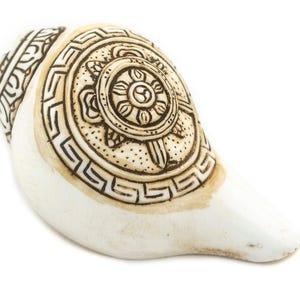 Carved Ashtamangala Conch Shell (Wheel of Dharma) - Handmade in Nepal - Buddhist Ceremonial Decor for Meditation