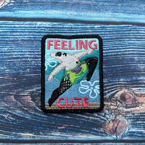 Feeling Cute Sew On Patch