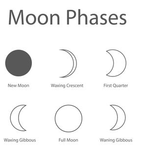 Moon Phases Coloring Sheets Etsy