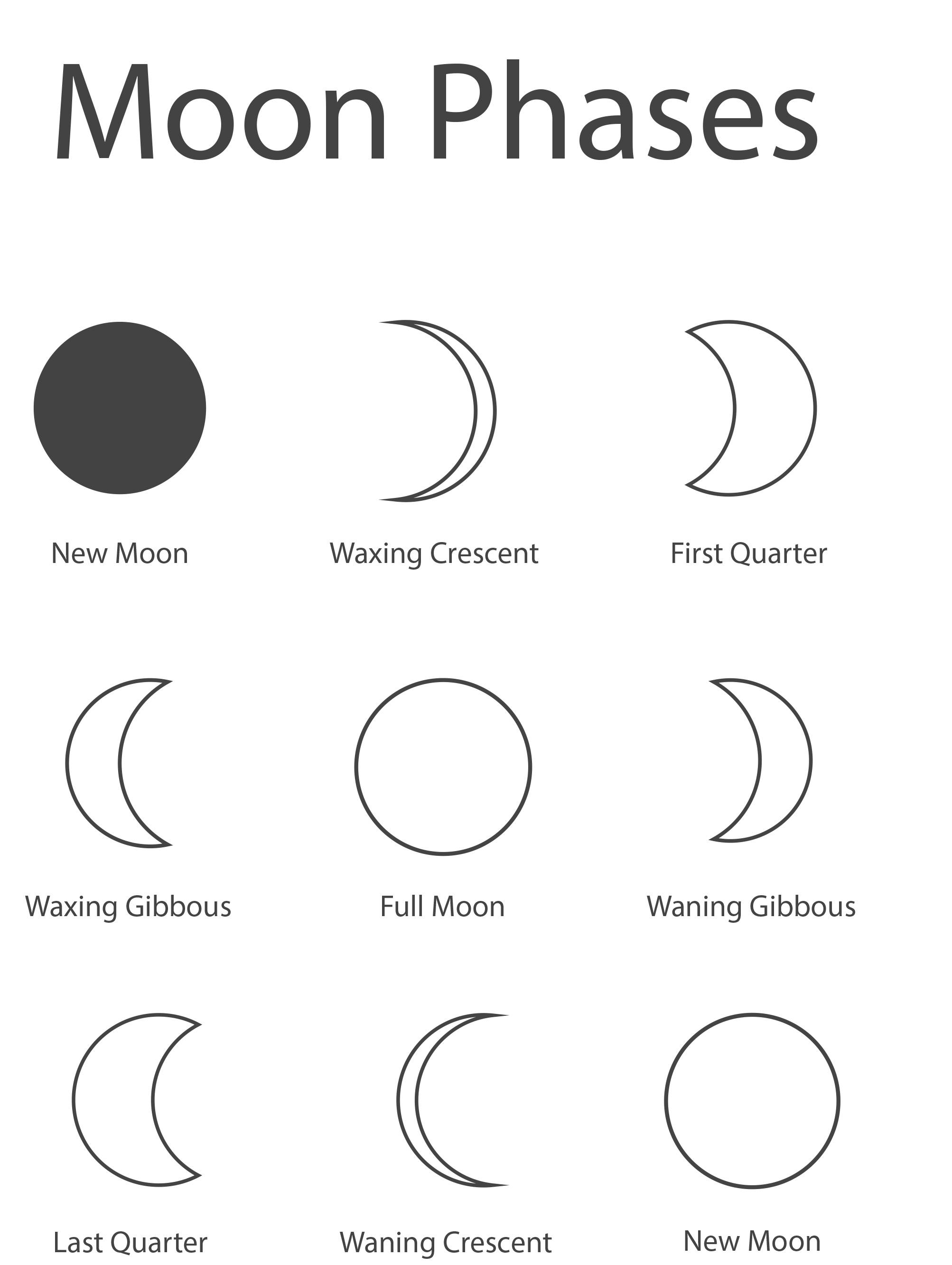 Phases Of The Moon Worksheets