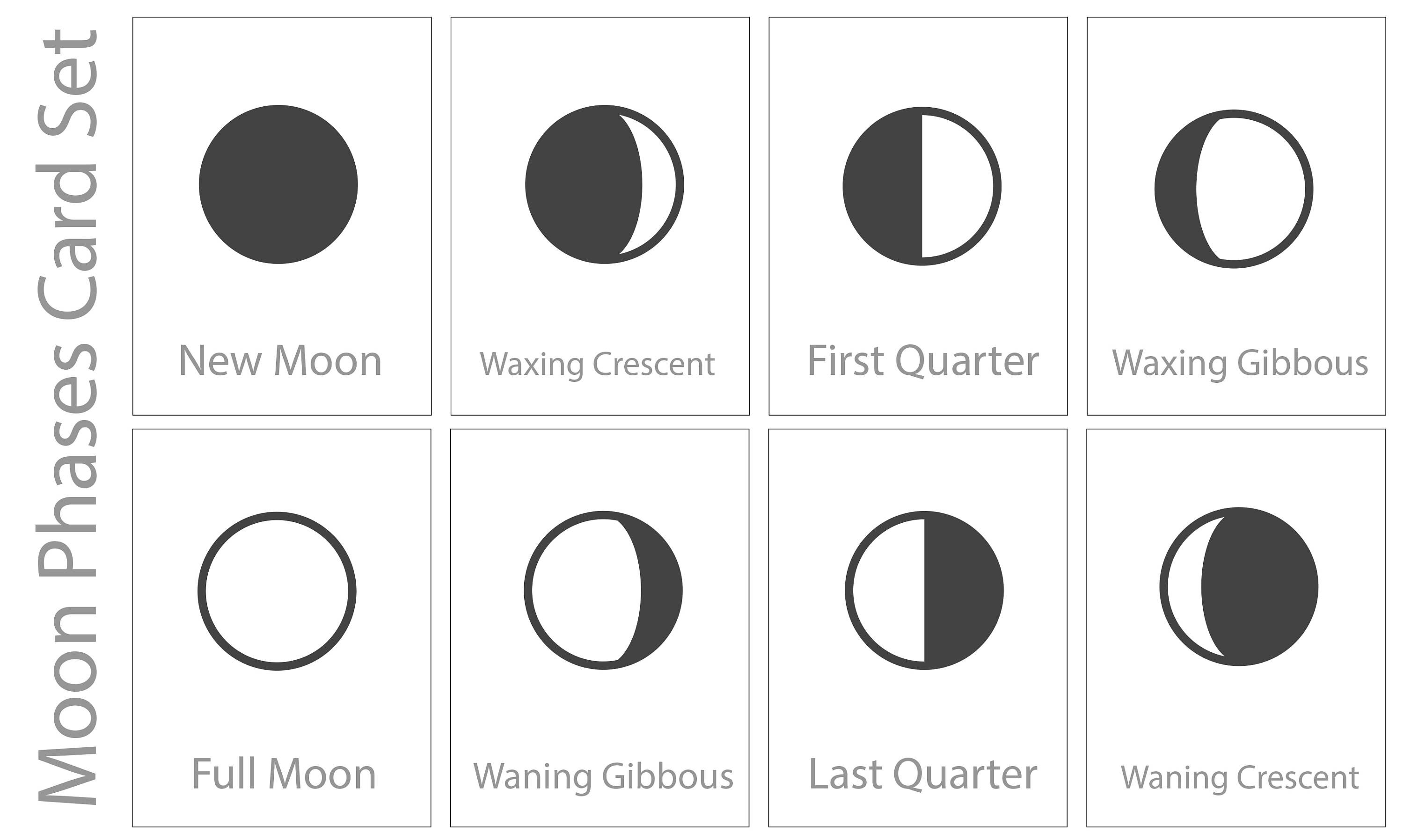 Phases Of The Moon Printable Cards Printable Word Searches