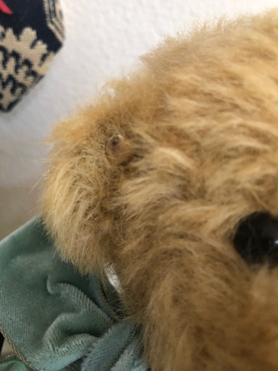 Vintage Collectible Handmade Jointed Teddy Bear - Etsy