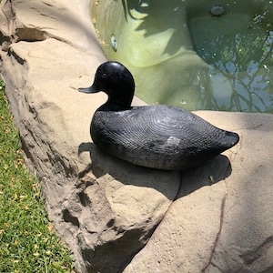 Antique Hand Carved Pintail Duck Decoy, 1920&#39;s with Lead Weight and Glass Eyes
