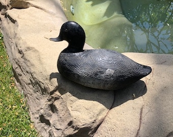 Antique Hand Carved Pintail Duck Decoy, 1920's with Lead Weight and Glass Eyes
