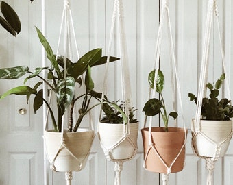 Macrame Plant Hanger