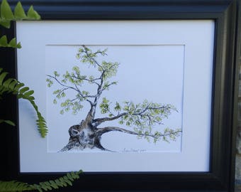 Arte del árbol bonsái (mate 11" x 14")