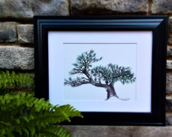 Bonsai Tree Art (Matted 11' x 14")