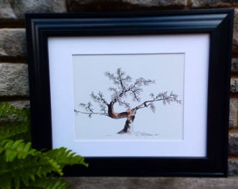 Arte del árbol bonsái (mate 11' x 14")