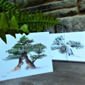 May include: Greeting cards with a bonsai tree illustration. The cards are tied with a light blue ribbon and a decorative charm. The tree illustration has green foliage and a brown trunk. One card is labelled "Peace".