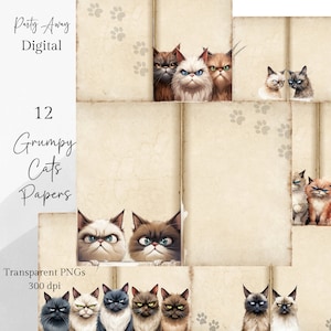 Journal pour chats grincheux Journal pour chats pour chats Pages imprimables de journal pour chats Papiers numériques chats mignons, Papiers numériques chats Scrapbooking Ephemera.