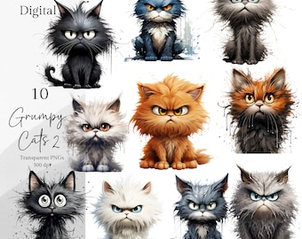 Grumpy Cat Watercolor Clipart Bundle: Funny Animal PNG Digital Download Funny Cats