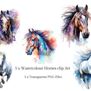 Watercolor Horse Clipart: 5 PNG Files, Commercial Use