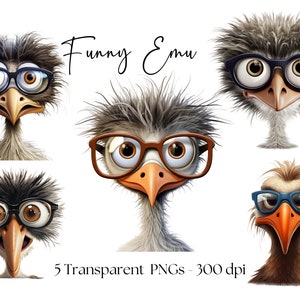 Clipart aquarelle animal drôle Emu Autruche poulet Funny PNG Clipart Bundle, T shirt PNG Mug PNG Funny Emu png Art mural png Animal png