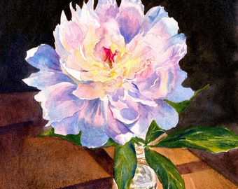 Harmony of Hues: Illuminating Shadows and Reflections, peony art print